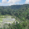 Indonesia Bali 31