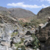 Oman 8