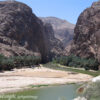 Oman 93Tiwi