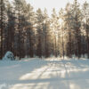 Lapponia Feb 04004
