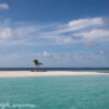 Maldive Aug 14 365 Halaveli