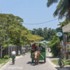 SEYCHELLES INSP. MAR 13 657