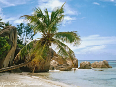 La Digue e Praslin anno 2000