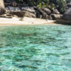 Seychelles Mar 13 547 Coco Isl.