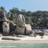 Seychelles Mar 13 549 Coco Isl.