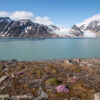 Svalbard Jul 2024 – 00515 RaudFjord