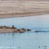 Svalbard Jul 2024 – 01767