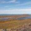 Svalbard Jul 2024 – 02132 Sundneset