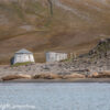 Svalbard Jul 2024 – 02365 Kapp Lee