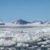 Svalbard Jul 2024 – 02819 Burgerbukta