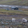 Svalbard Longyearbyen Jul 2024 – 00023