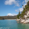 Nuova Zelanda nov. 2023 – 2096 Abel Tasman