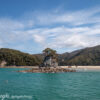 Nuova Zelanda nov. 2023 – 2303 Abel Tasman