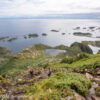 Lofoten Jul 2026 – 0805 Mt Festvagting Trek