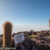 Bolivia Dec 2022 – 1512 Salar Uyuni Isla Incahuasi